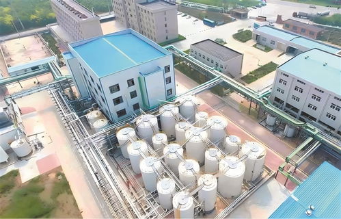 高青 以工業(yè)技改驅(qū)動(dòng)引擎，加速企業(yè)轉(zhuǎn)型升級(jí)與高質(zhì)量發(fā)展