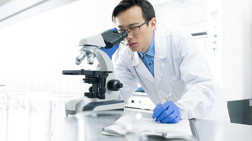 玩具檢測(cè)認(rèn)證 構(gòu)筑安全防線，驅(qū)動(dòng)行業(yè)高質(zhì)量發(fā)展